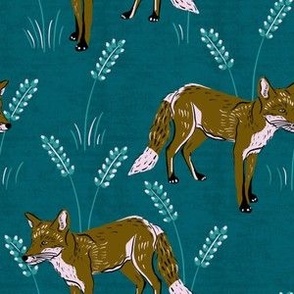 Foxes in the tall grass