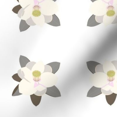pale-magnolia-2 lg