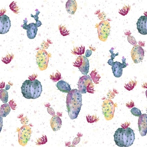 Watercolor Cactus / White Pink Blue Yellpw