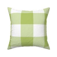 Buffalo Check - 4-Inch - Light Green