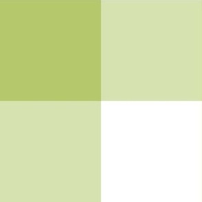 Buffalo Check - 4-Inch - Light Green