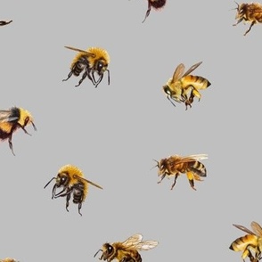 Honey Bees - Medium - French Gray