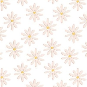 Spring Daisy Flowers - White Yellow Blush