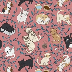Kitty Garden on Coral Pink
