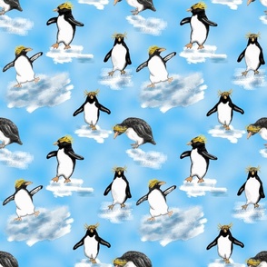 Penguins on ice blue