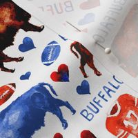 Buffalo Love Football Pattern