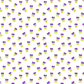 Violas white