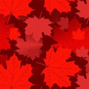 Maple leaves BUR