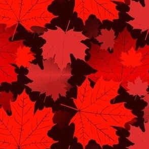 maple leaves BUR DK