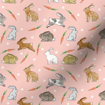 Bunnies and Carrots on Coral Pink