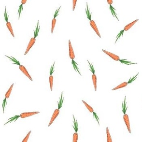 Carrots on White