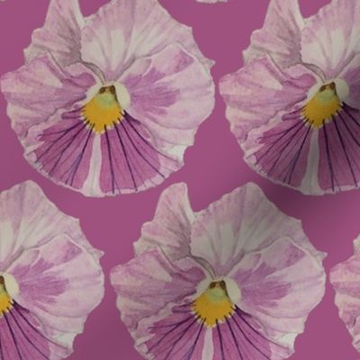 Violet watercolor flower heads -  abundance