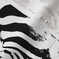 Zebra 2