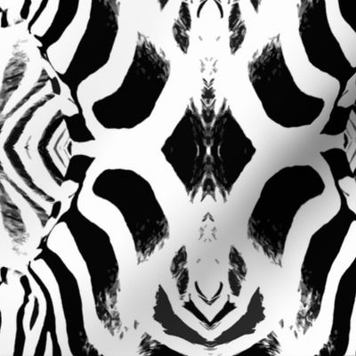 Zebra 2