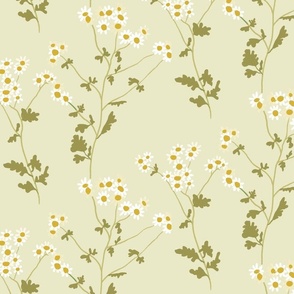 Camomile