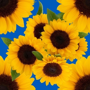 Sunflowers Allover Realistic 1