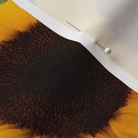 Sunflowers Allover Realistic 2