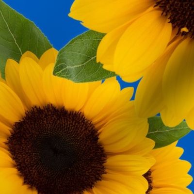 Sunflowers Allover Realistic 2