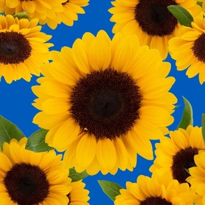 Sunflowers Allover Realistic 2