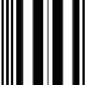 Zebra  black and white Stripe