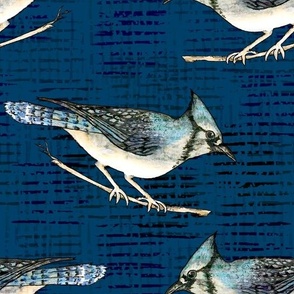 Blue Jay Drawing - Dark Blue Textured