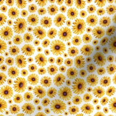 micro scale sunflower