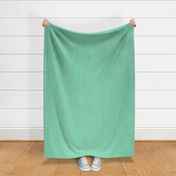 Solid Green Plain Green Solid Jade Green Blue Plain Jade Green Blue Turquoise 8ED2AA with Denim Texture Grasscloth Texture Subtle Modern Abstract Geometric Plain Fabric Solid Coordinate