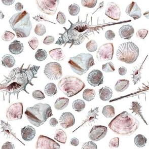 Large Seashells / Sea Shells / Pink / White / Grey