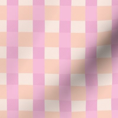 Stuffy gingham plaid traditional gingham tartan design soft spring summer blush pink