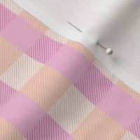 Stuffy gingham plaid traditional gingham tartan design soft spring summer blush pink