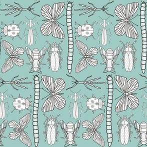 Insect Kingdom/White on Light Blue Background