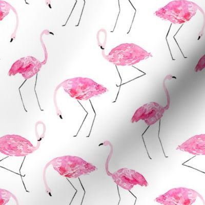 Hot Pink Flamingos