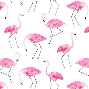 Hot Pink Flamingos