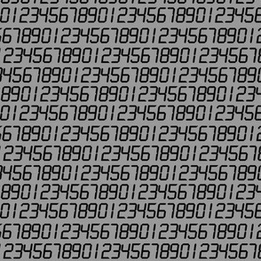 LCD calculator digits - black on grey