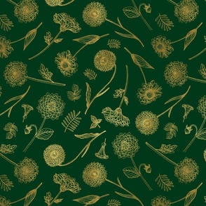 Botanical Illustration on Emerald Green