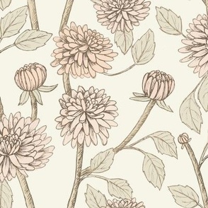 Delicate Dahlias 