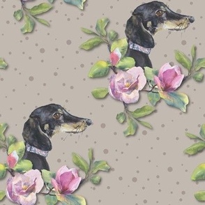 Martha and the Magnolias_Large_Dachshund_taupe