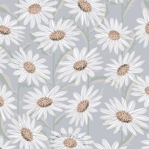 Marguerite flowers for wallpaper | light grey