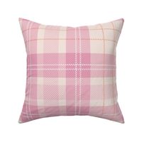 The quirky gingham spring plaid traditional tartan check design in pink blush