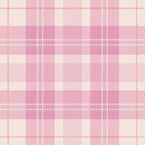 The quirky gingham spring plaid traditional tartan check design in pink blush