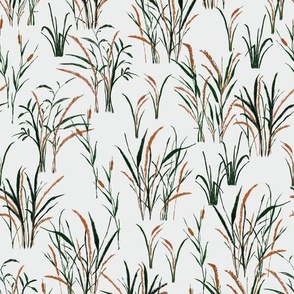 Reeds Light Grey Medium