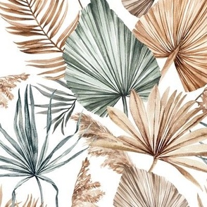 Dried Palm Leaves / Medium Scale / White Background