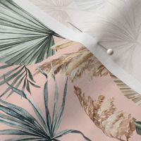 Dried Palm Leaves / Small Scale / Blush Background