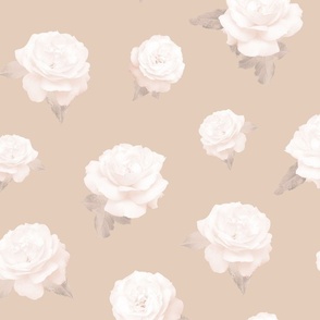 White Roses-3-6