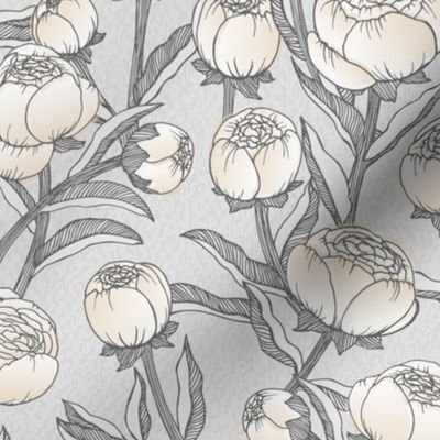 Soft Grey Peonies