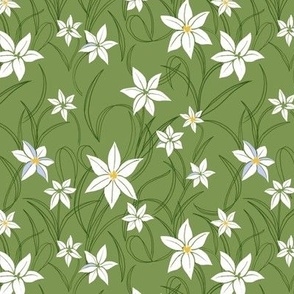 Starflower - green 1