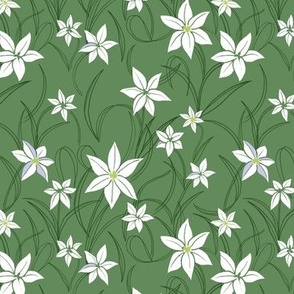 Starflower - medium green