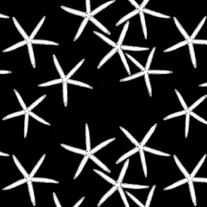 Small Starfish Black and White