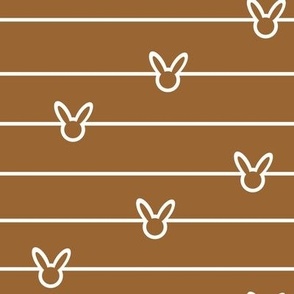 Brown bunny stripe