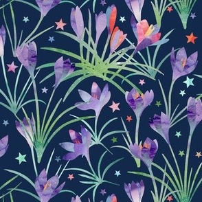 crocuses - navy background